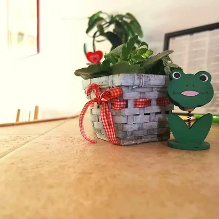 Lägenhet Apartman Tedi